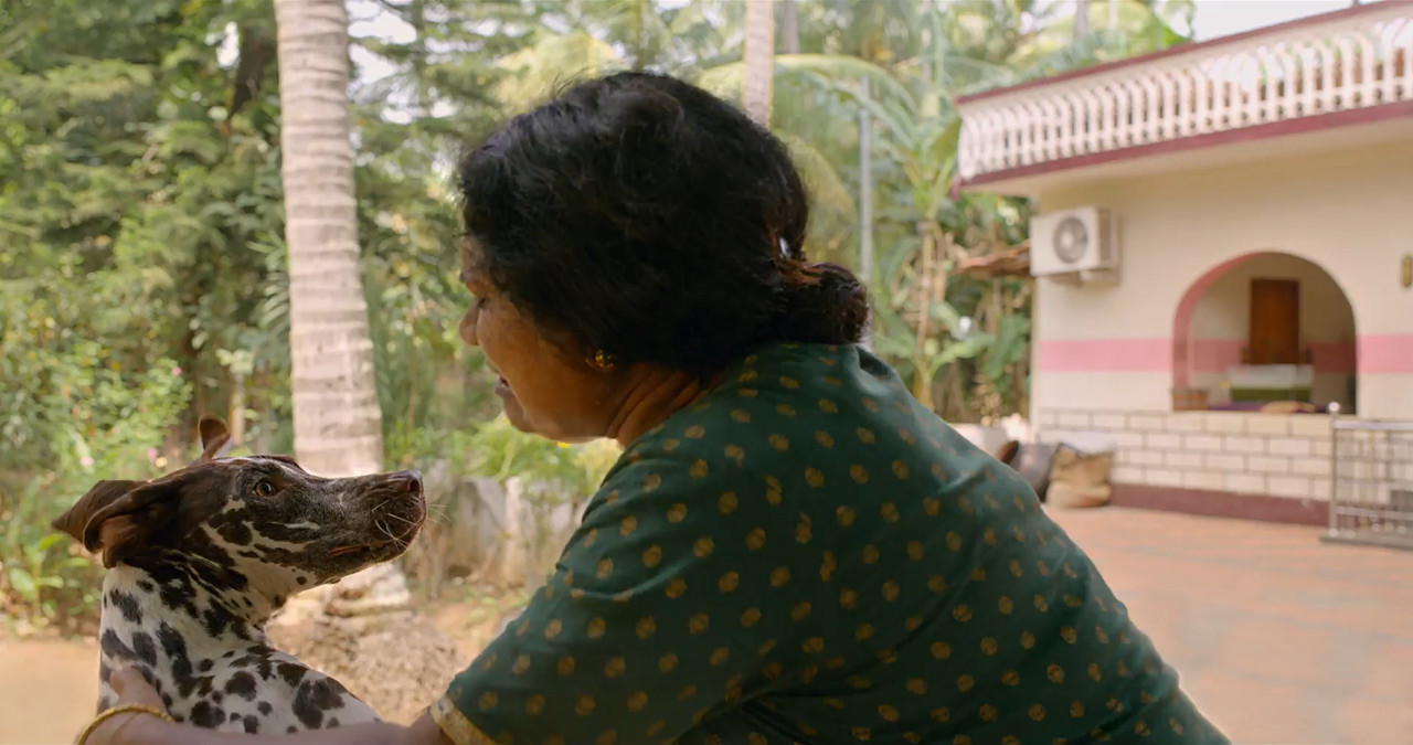 Pennum Porattum 2026 WebRip [Hindi + Tamil + Telugu + Malayalam + Kannada] 480p 720p 1080p ESub Screenshot