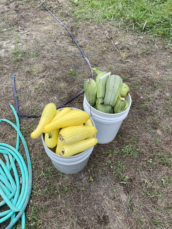 8F9A0906-1CC9-4E5D-AB98-DE128C4B9FF6