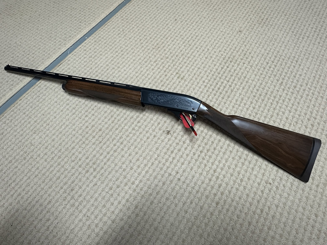 AM8reAE.jpg