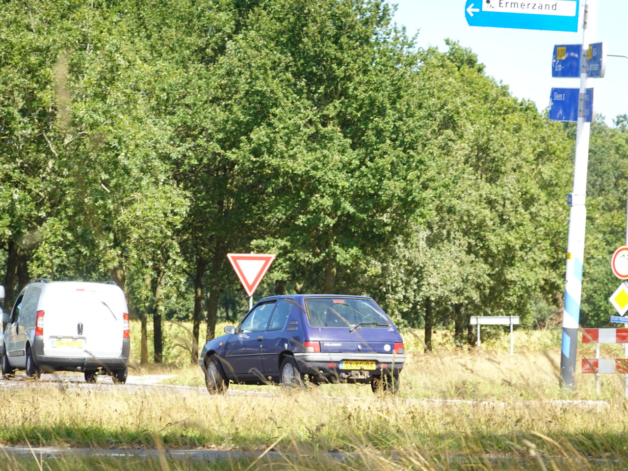 DSC00409.jpg