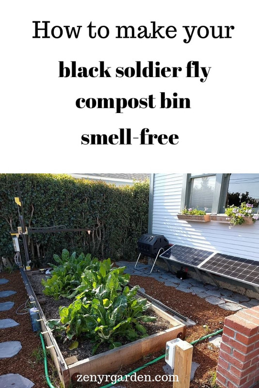 how-to-make-black-soldier-fly-compost-bin-smell-free-pin.jpg