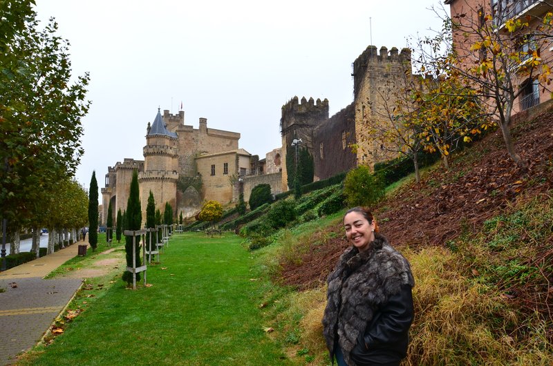 Olite-15-11-2015 - Navarra y sus pueblos-2015 (8)