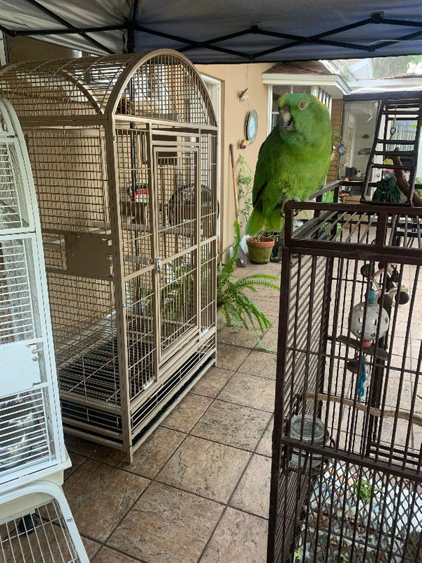 image2(3)_copy_604x805