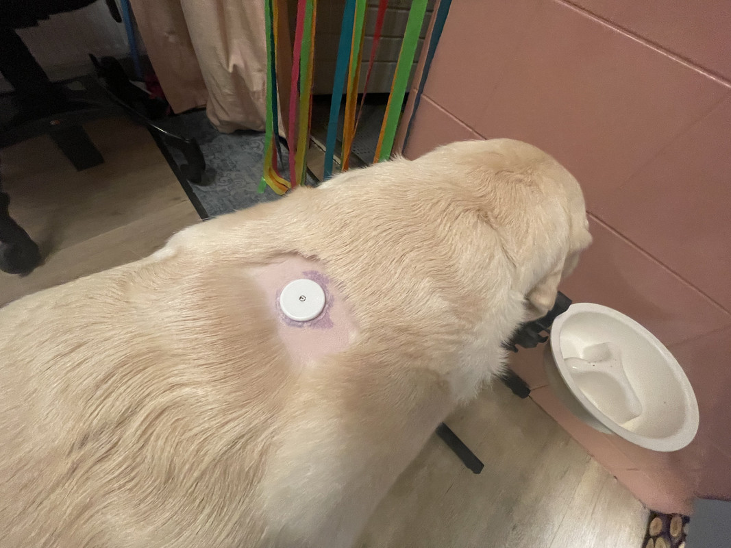 AEBEC9C4-C335-436B-8402-282372B8D121