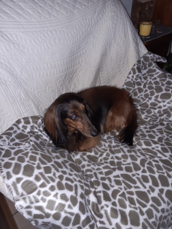 [Image: 20220630-121424.jpg]