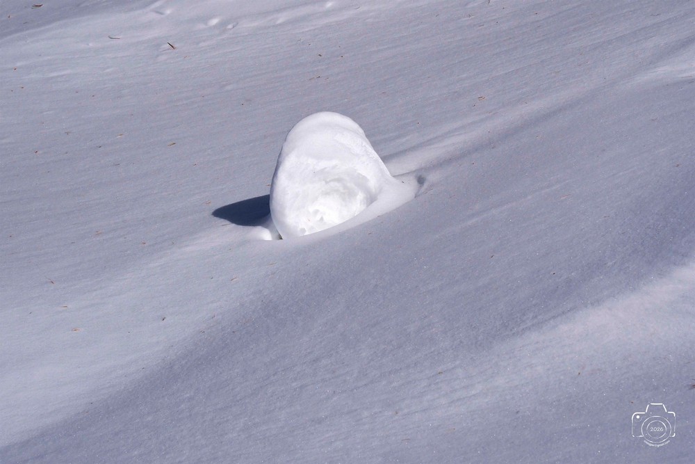 617682291-25480082718281308-1333302867802258502-n