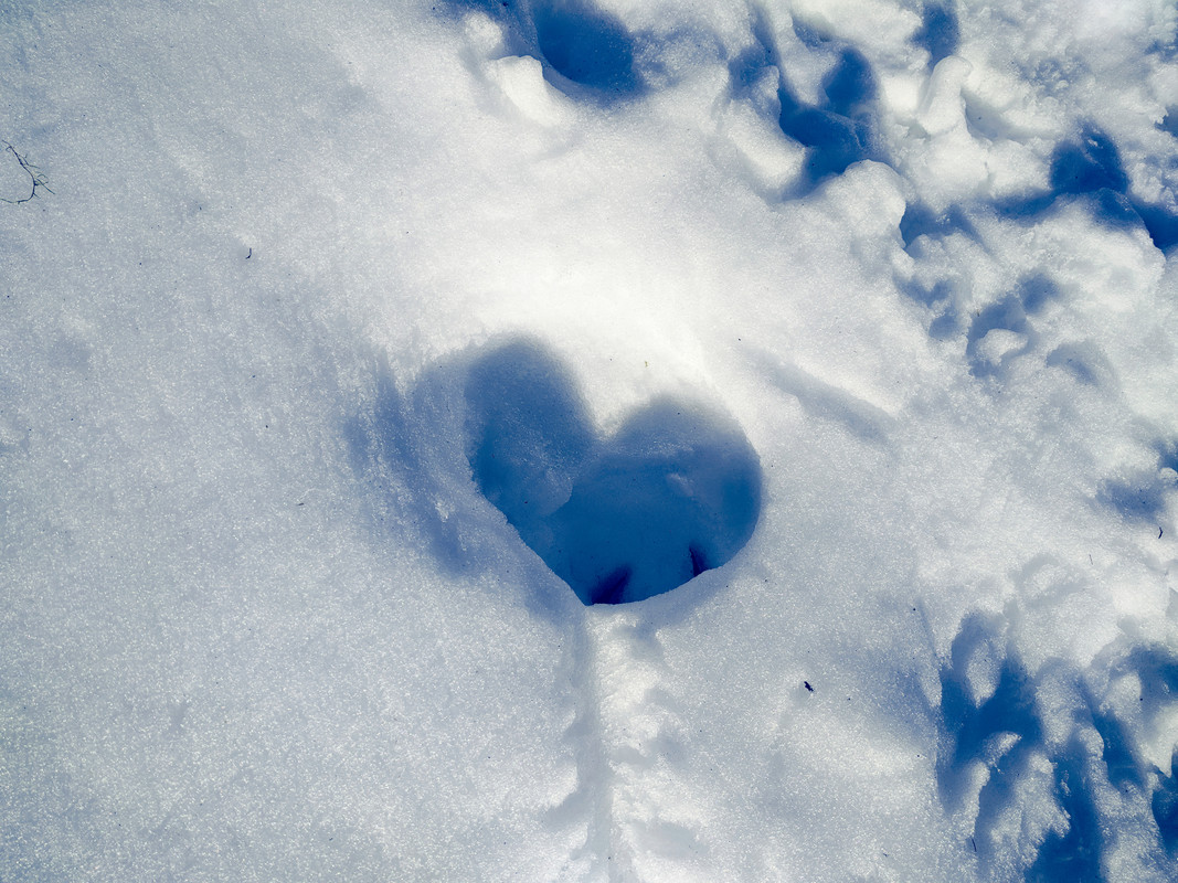 08 - Cœur dans la neige
