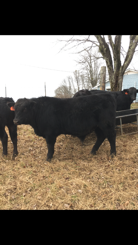 6F508FF5-5AFE-4D99-B7C8-3773F638415F