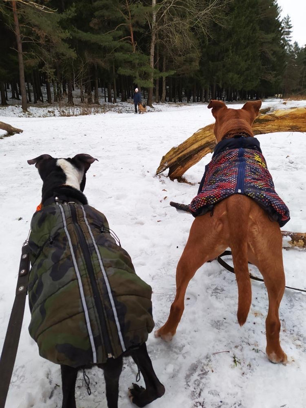 99B1EE4C-CF27-47D0-A443-EBACE7C9959A