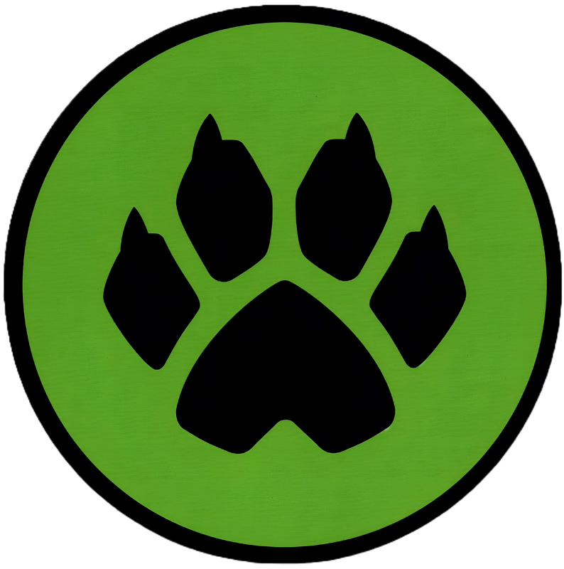 CatNoirTV Logo