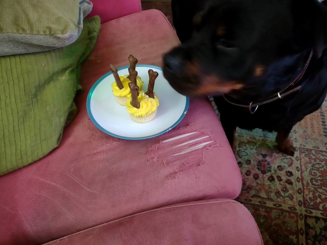 IMG_20201124_155025688_MP