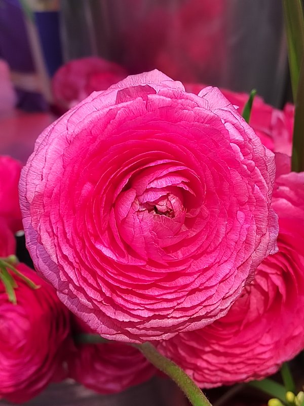 https://i.postimg.cc/bJ80g3Zw/30-IMG-20250306-152212.jpg