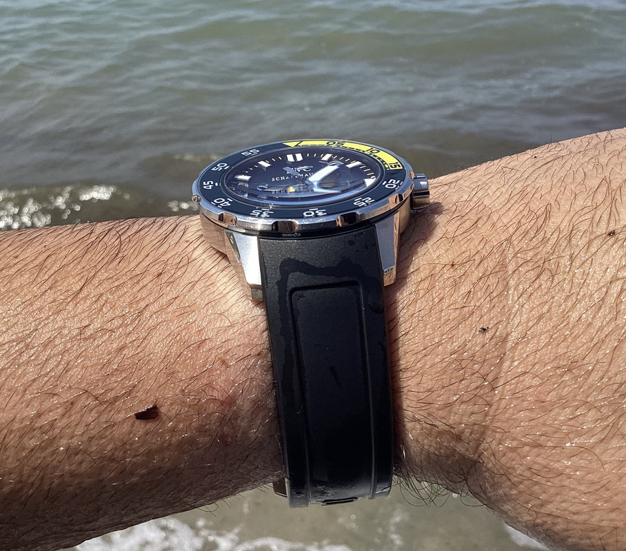 295BB4A3-5C65-4AA4-ABA8-389198508228