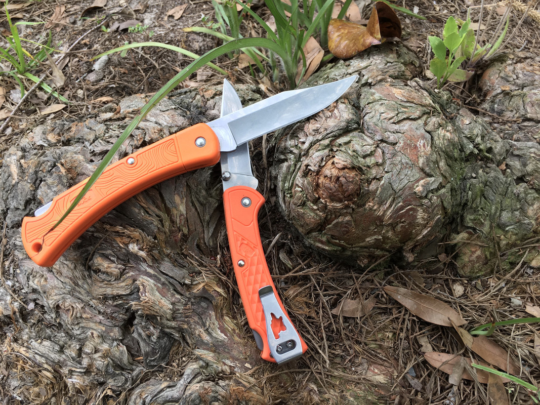 C8E9EF1F-0D3A-42D7-B782-02755158DF9F