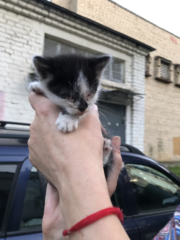 6B3C4AD1-F827-4945-BD6E-44E6C843E309