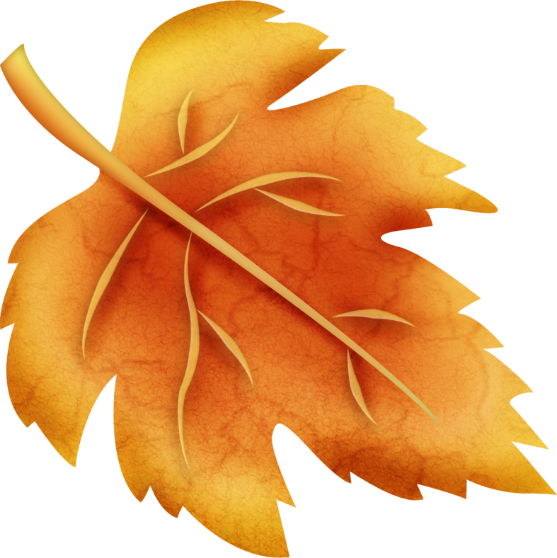 Pumpkinfairykitpudnelve3