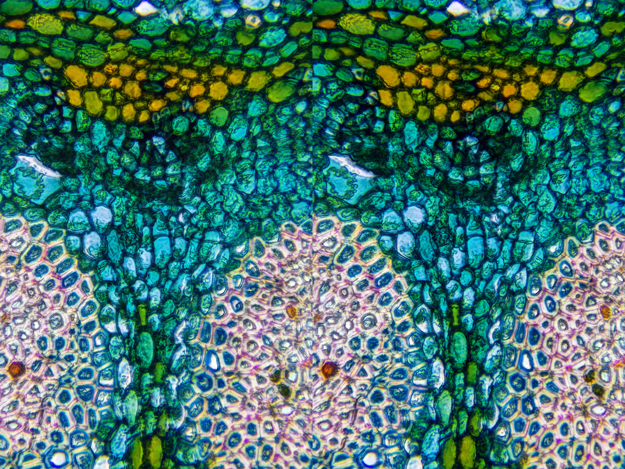 Stereo 3 5 Cross Tpnd 4K