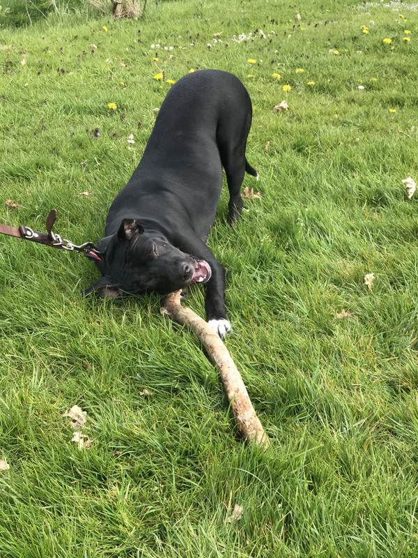 92AEF7EC-3248-41EB-83B1-EF643DA60AFA