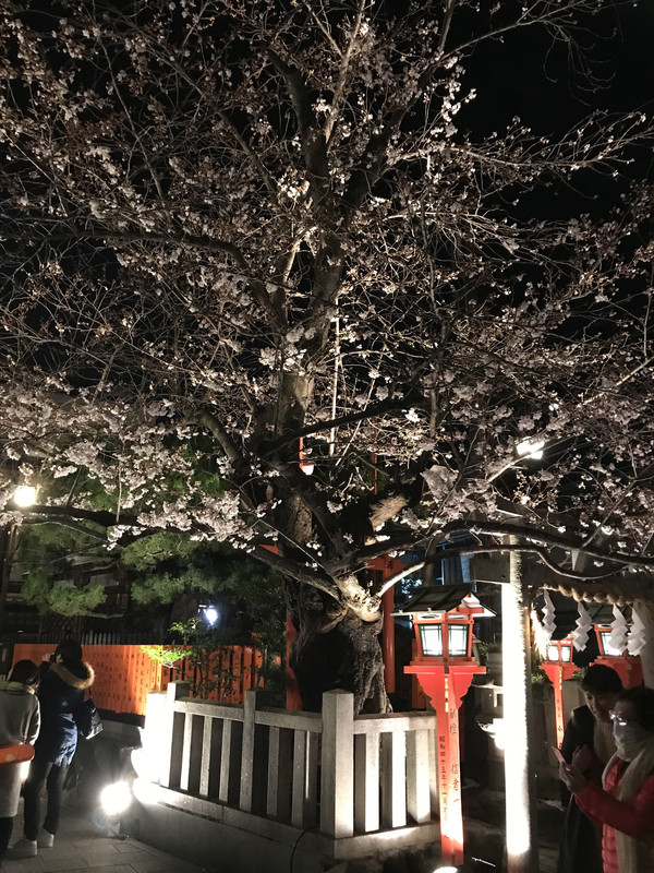 BD47E88E-2E91-4812-8B28-BC00BC77DC5A