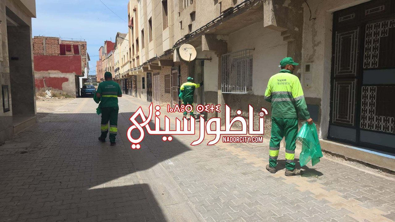 Whats-App-Image-2026-05-25-at-15-18-48-(3)