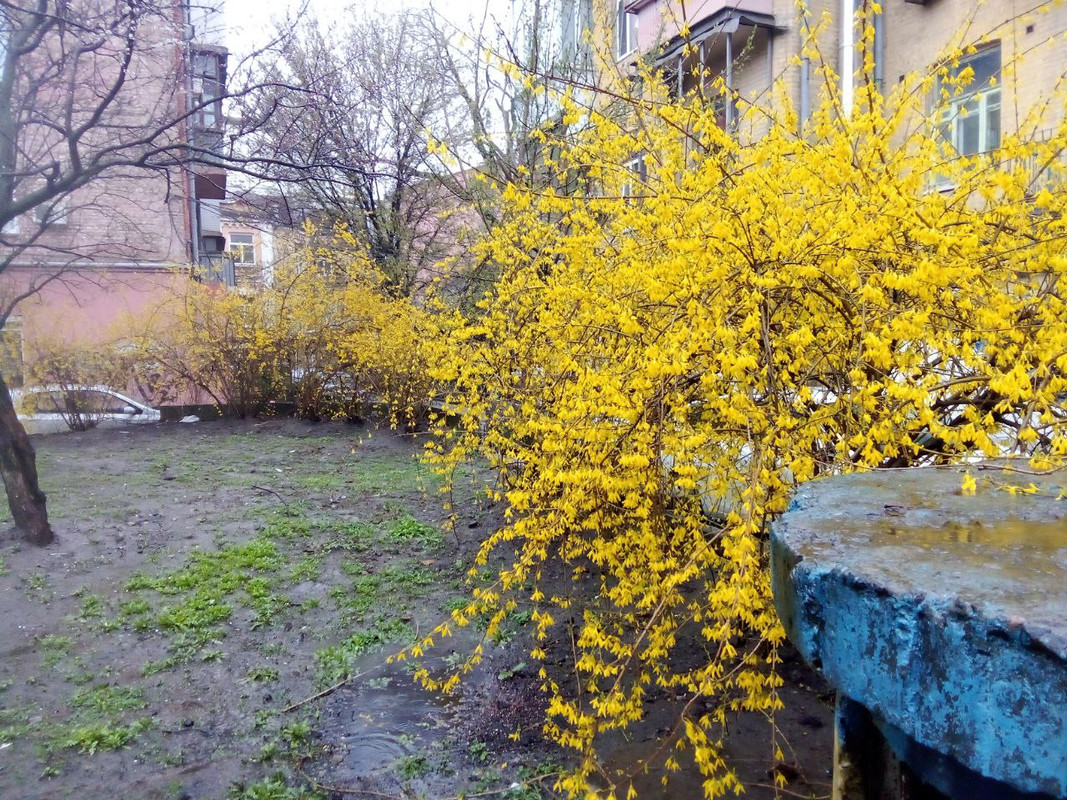 photo_2025-04-01 8.18.17 пп