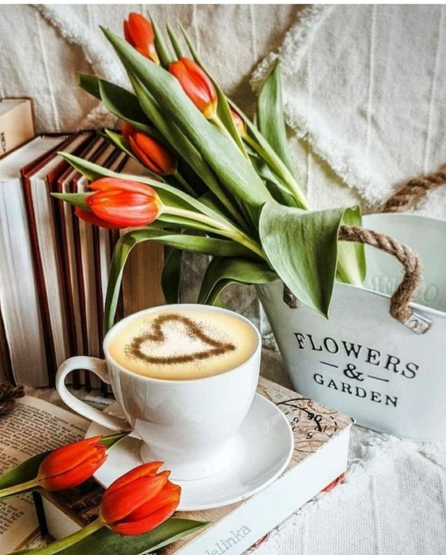 Screenshot_20221227_020243_Chrome