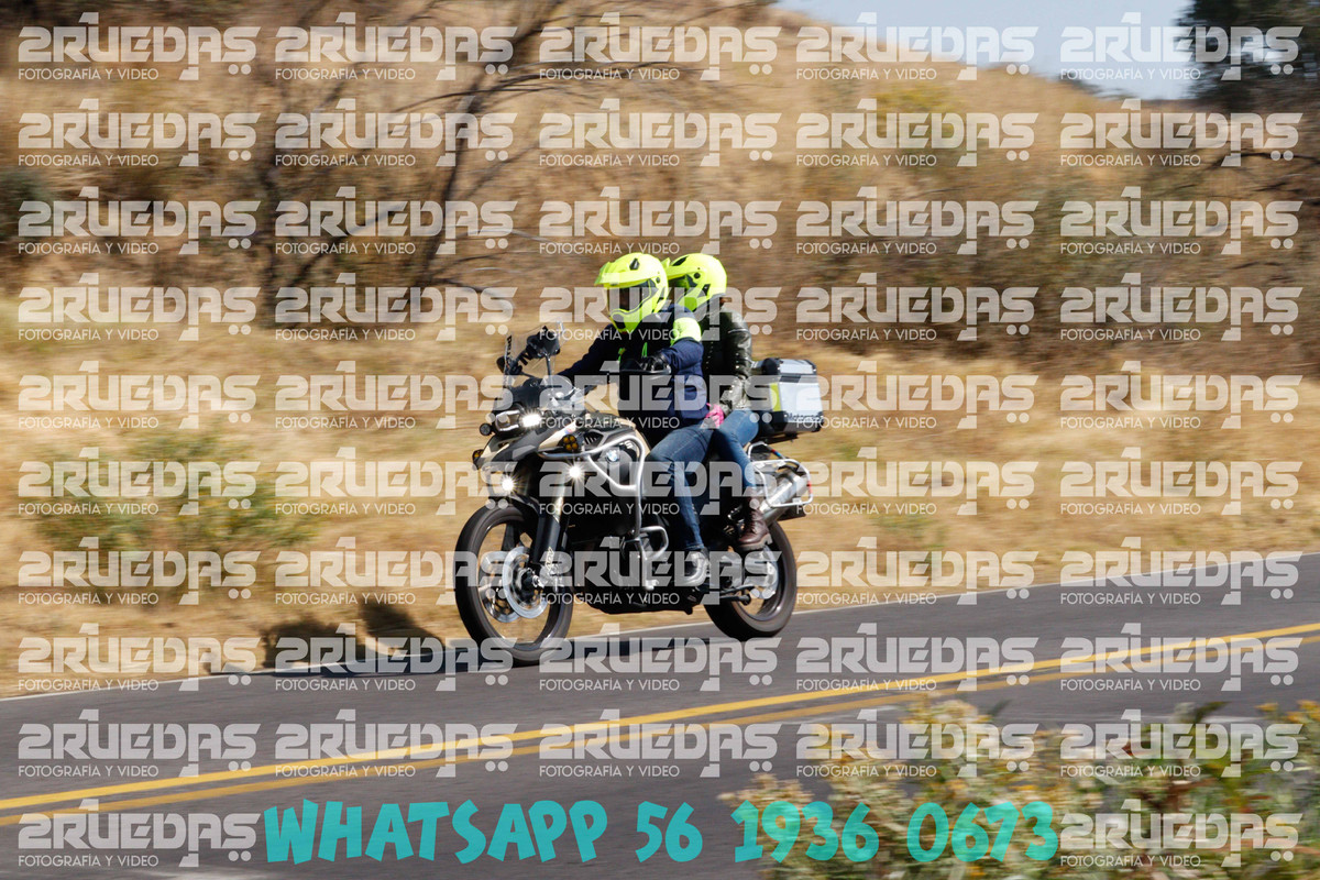 MG 0237 — Postimages