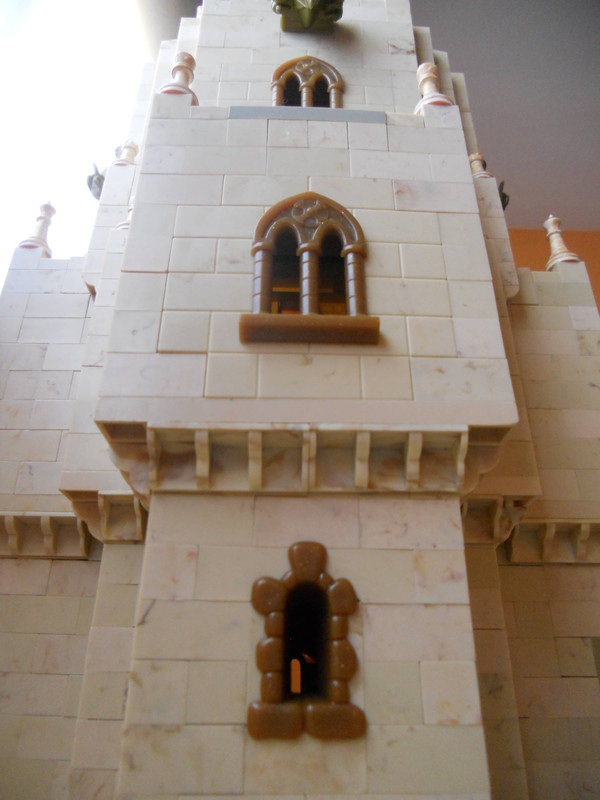 DSCN0629
