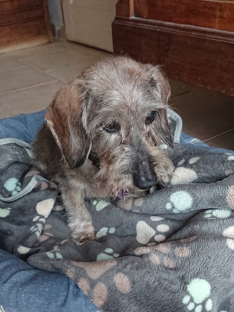 [Image: DSC-3406.jpg]