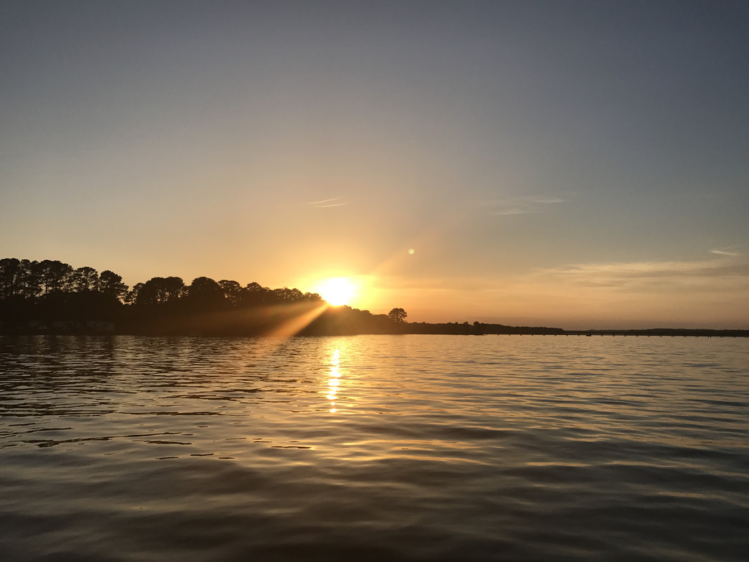 [Image: 88-BF99-DC-C3-D8-4244-BB72-DEFE81-F5-FA24.jpg]