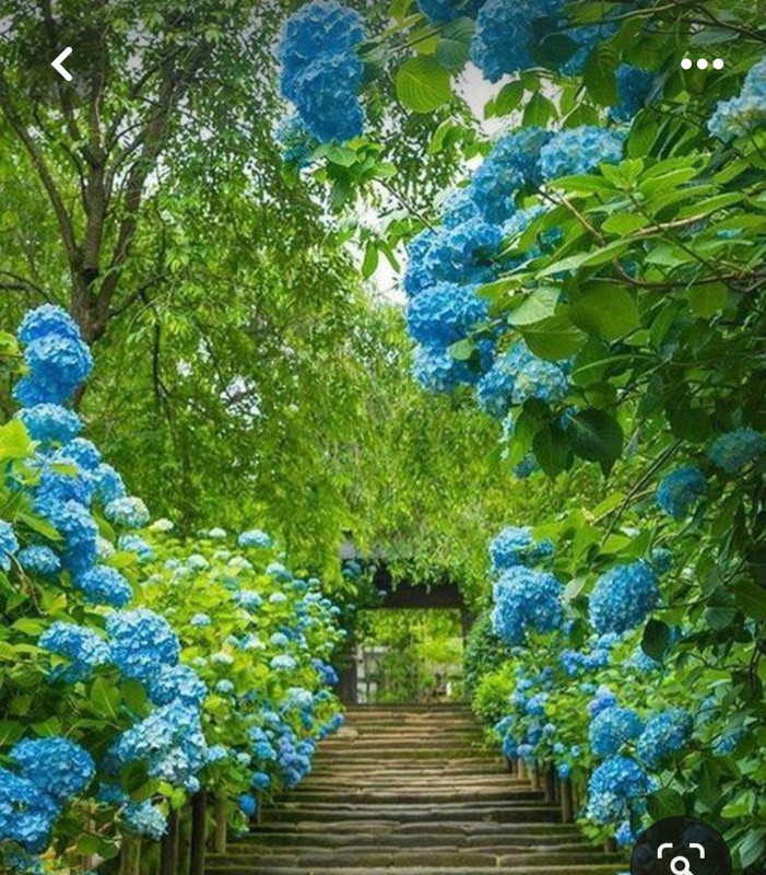 Screenshot_20240429_213417_Pinterest