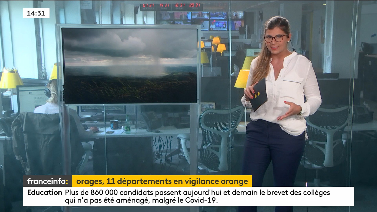 06.28 - 12.59.00 - Le 14h-17h. Au sommaire   Vrai ou fake. - francein....ts_snapshot_00.35.19.211