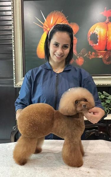 Evolução e prêmios — foto 1