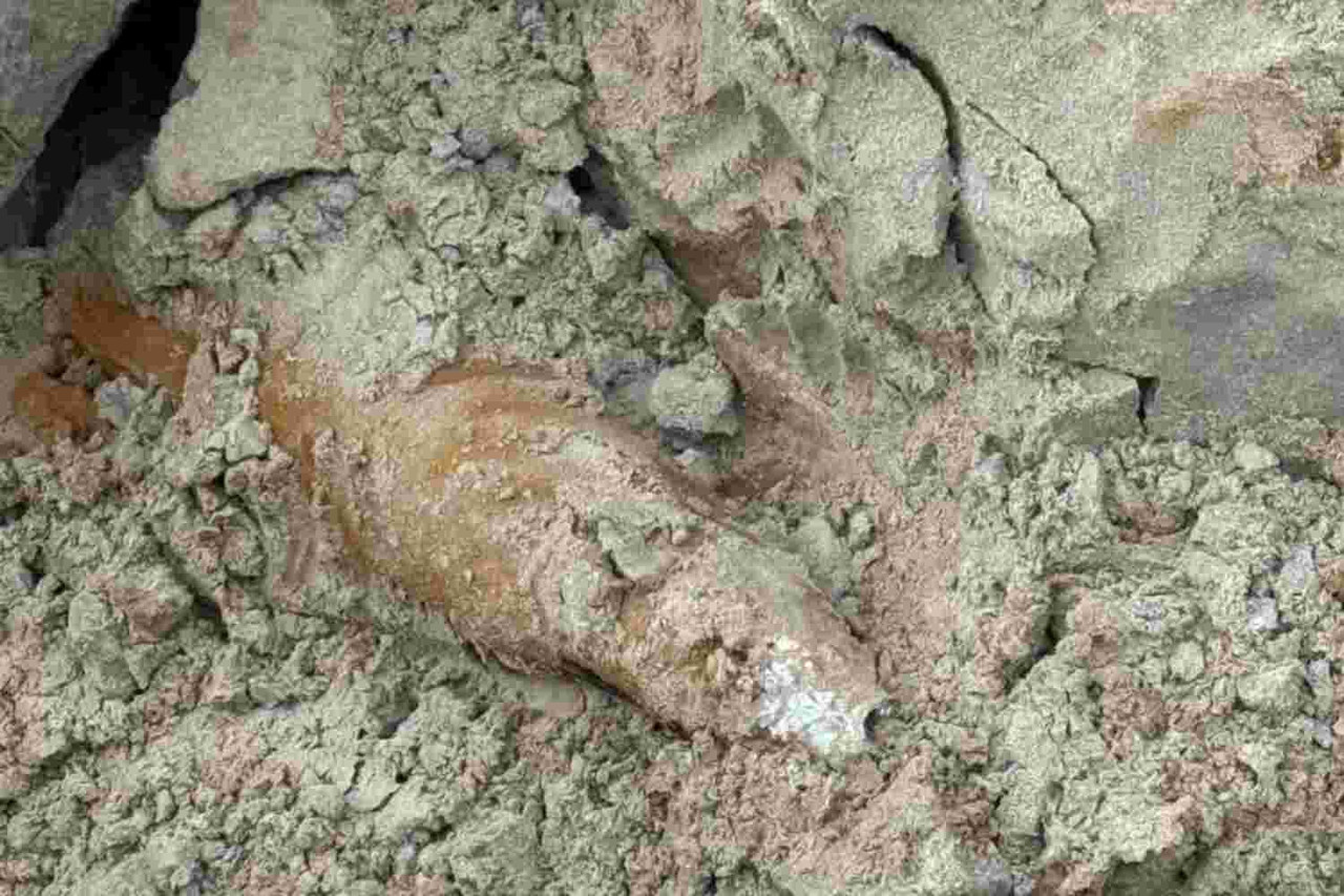 El complejo inglés ha tenido un descubrimiento peculiar bajo su superficie. Foto rlgchoylake