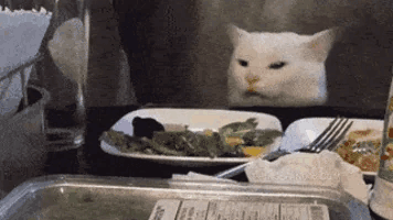 200-3.gif