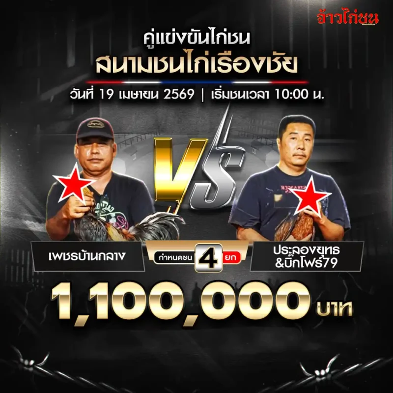 เพชรบ้านกลาง vs ประลองยุทธ บิ๊กโฟร์79 สนามชนไก่เรืองชัย 19 เมษายน 2569