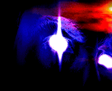 firecardinal