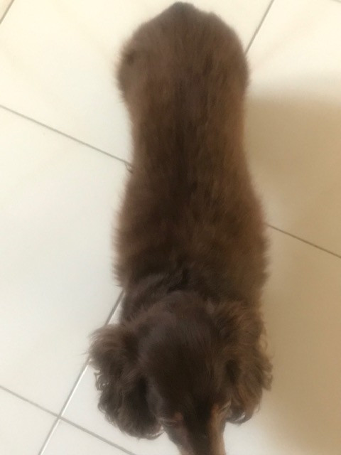 [Image: IMG-8554.jpg]