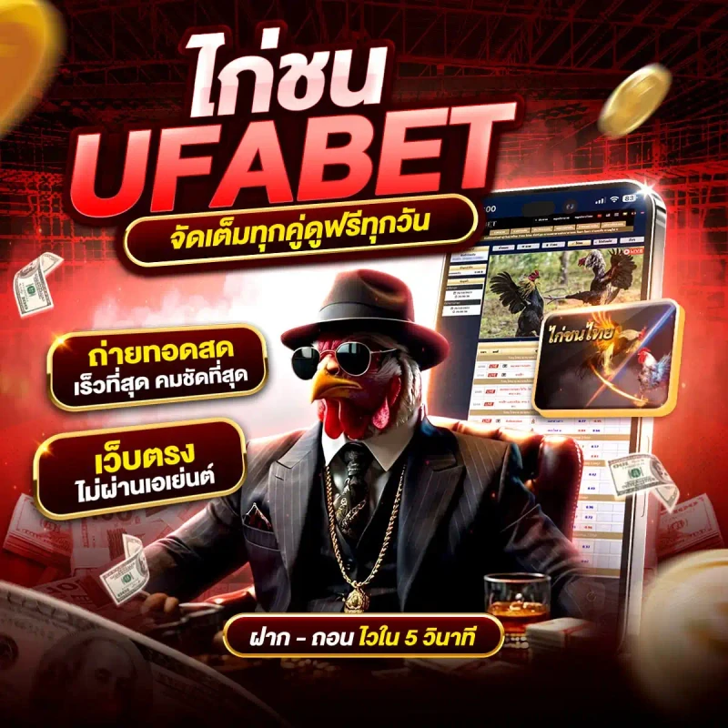 ราคามวยวันนี้ ข้อมูลมวยออนไลน์อัปเดตล่าสุด