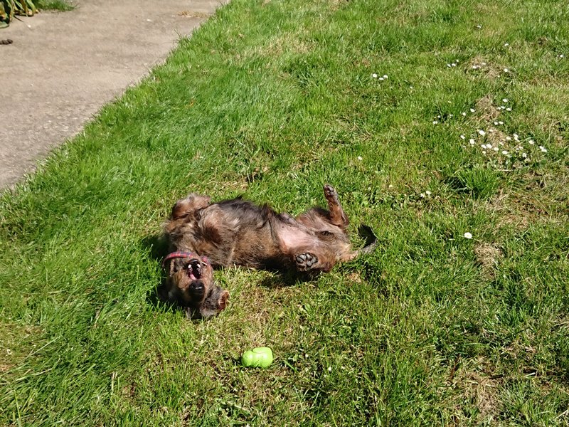 [Image: DSCPDC-0002-BURST20240511110448373.jpg]