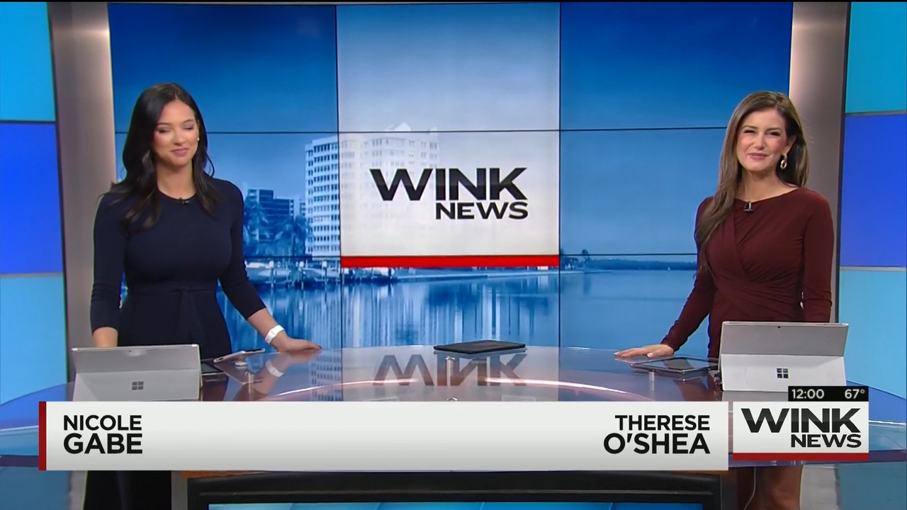 01.18 - 17.00.00 - WINK Noon News..mts_snapshot_02.59.961