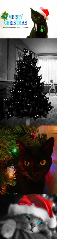 1618317-bigthumbnail (1)