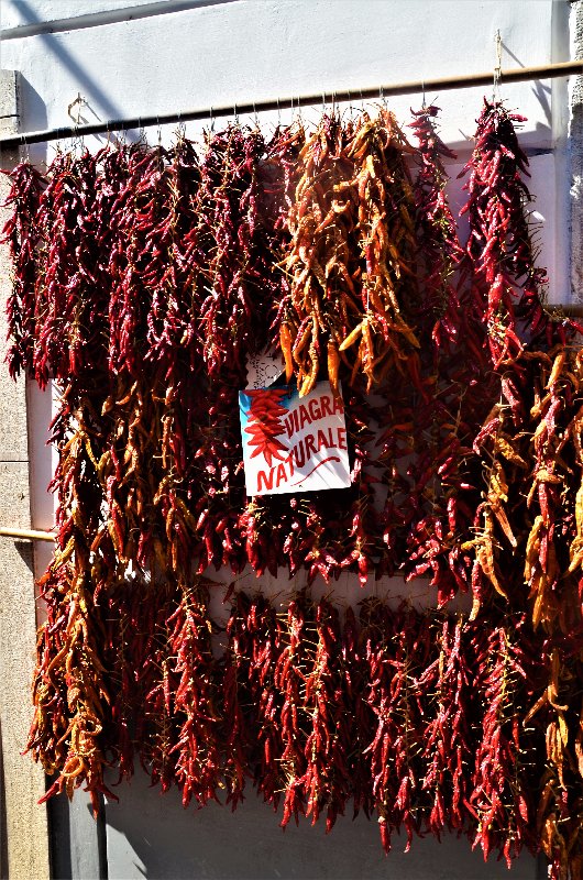 Italia y sus pueblos-2018/2019/2023 - Blogs de Italia - ALMALFI-23-9-2018 (66)