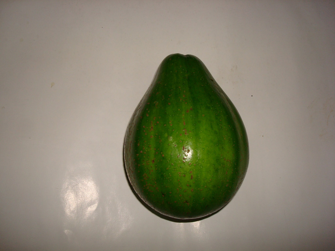 DSC06564