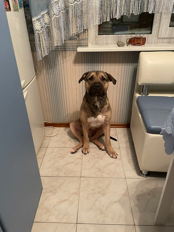 CCE7F7B1-7992-453C-846D-D7BBE9FEC41C