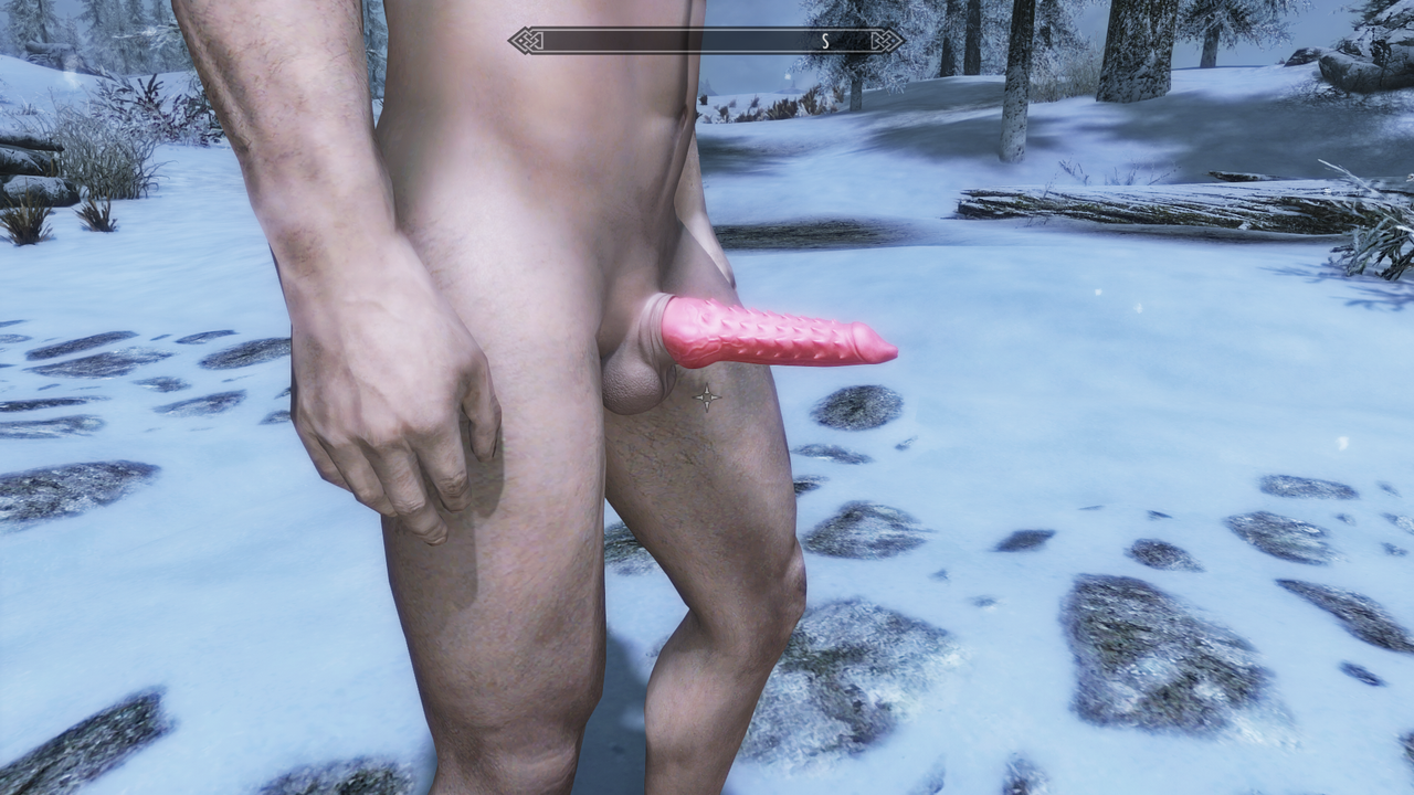 The-Elder-Scrolls-V-Skyrim-Special-Editi
