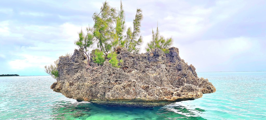 AVISTAMIENTO Y NADO CON DELFINES-CRYSTAL ROCK-BENITIERS ISLAND - Isla Mauricio: por y para el placer (12)