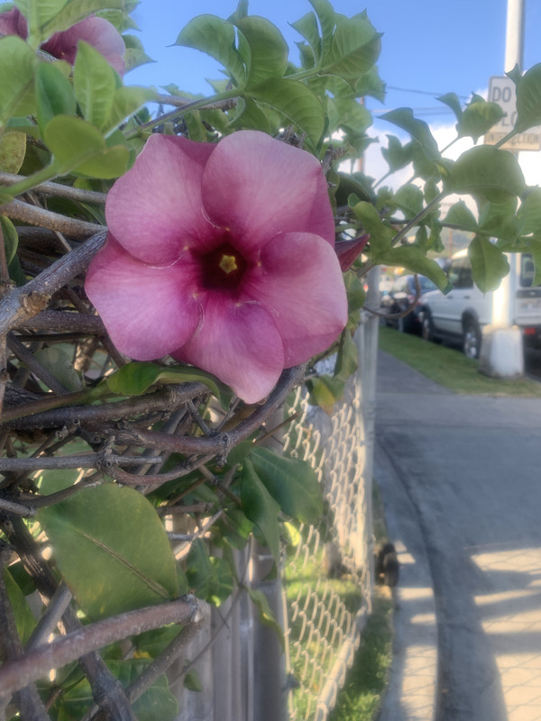 E08FE112-6618-455D-8800-4ABAEC52FA45