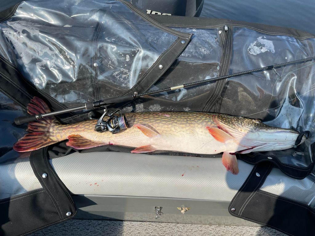 92 джиг спиннинг мастер-класс Куляпин Андрей обучение судак щука рыбалка троллинг ловля катер лодка 