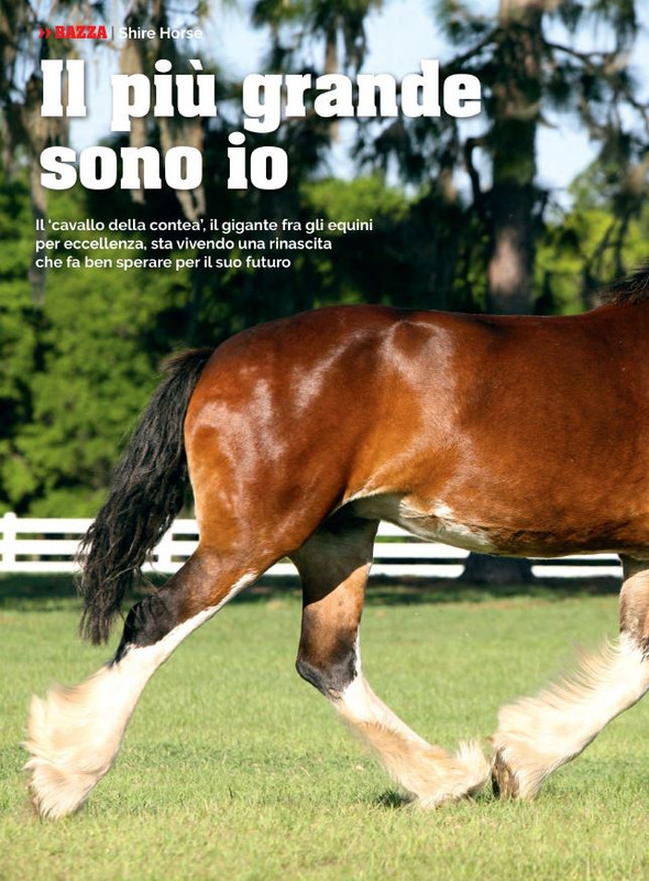 Il Mio Cav (Giu 2022) 9